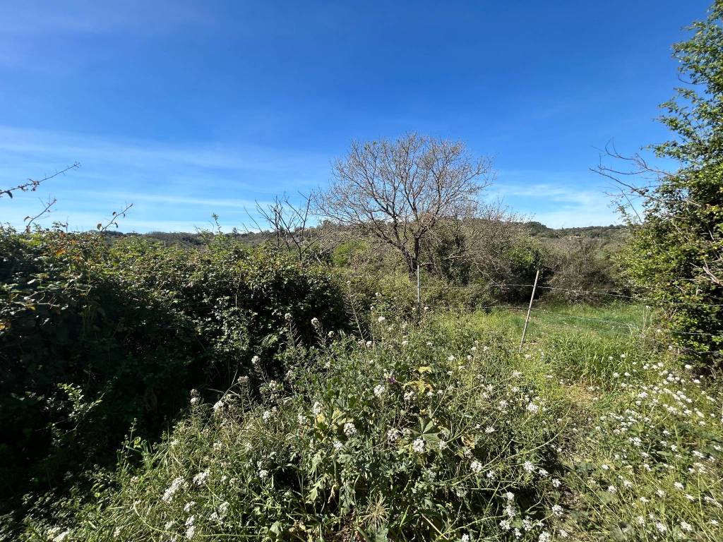 Terreno a Noto in Noto Baulì - Foto 3