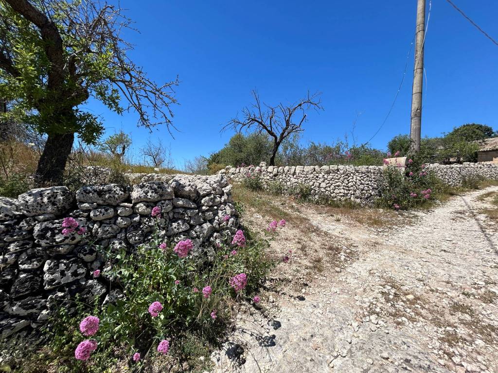 Rustico / casale a Noto in San Corrado f.m. Noto - Foto 3
