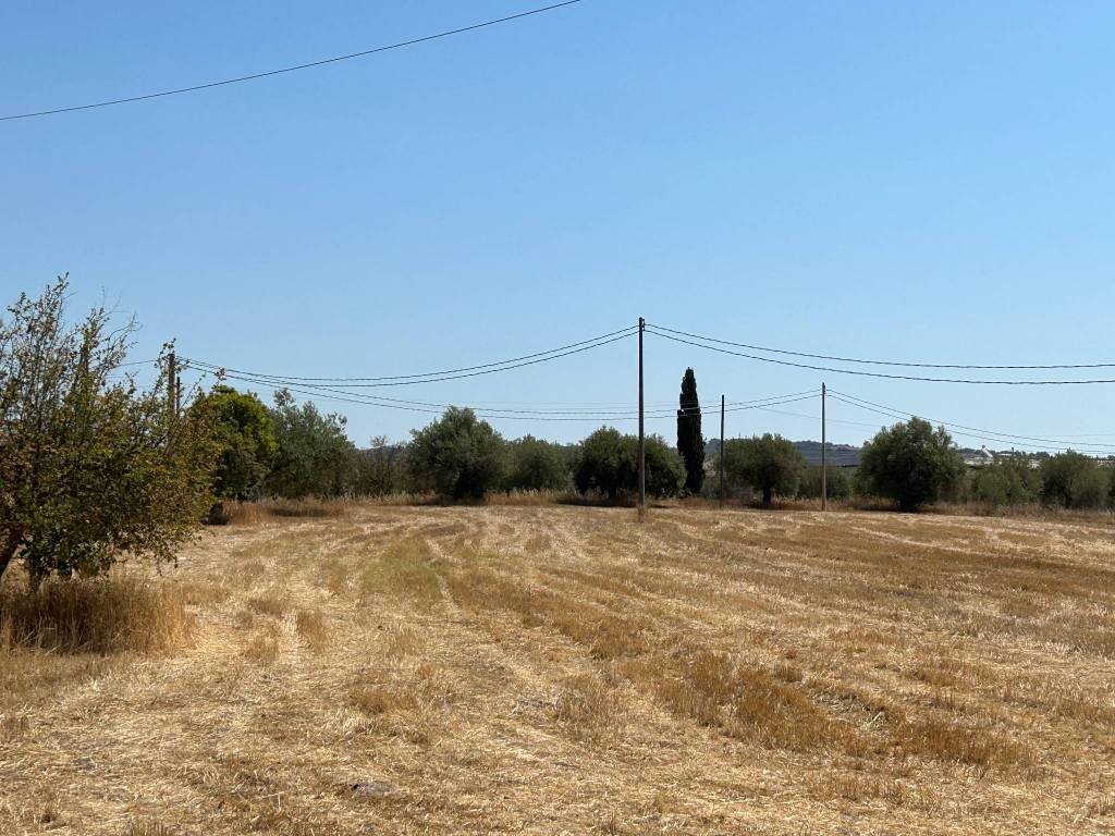 Villa a Ispica in Rosolini Ispica - Foto 5