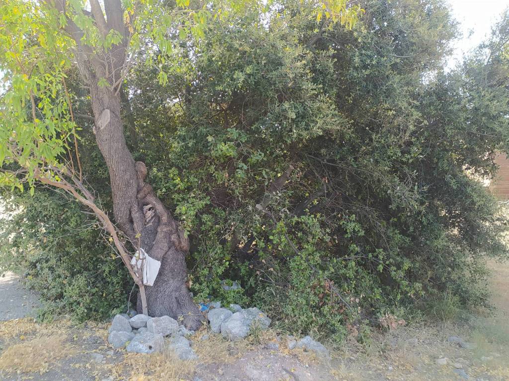 Terreno a Floridia in Strada Monasteri - Foto 3