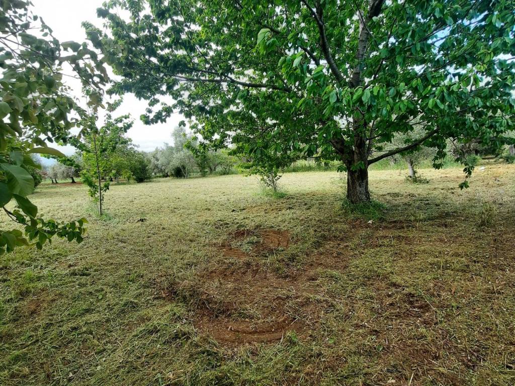 Terreno a Cepagatti in Via Faiolo - Foto 2