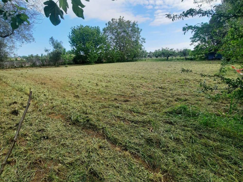 Terreno a Cepagatti in Via Faiolo - Foto 3