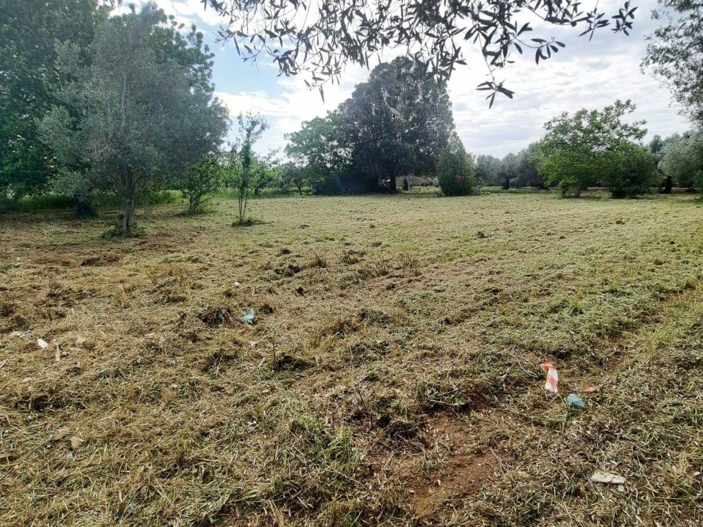 Terreno a Cepagatti in Via Faiolo - Foto 4