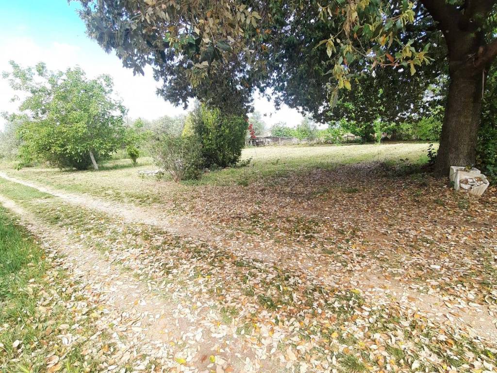 Terreno a Cepagatti in Via Faiolo - Foto 5