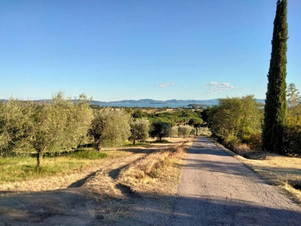 Rustico / casale a Tuoro sul trasimeno in tuoro sul trasimeno - Foto 4