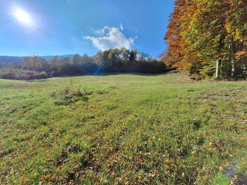Rustico / casale a Tione di trento in loc. Dravegon Coste - Foto 4