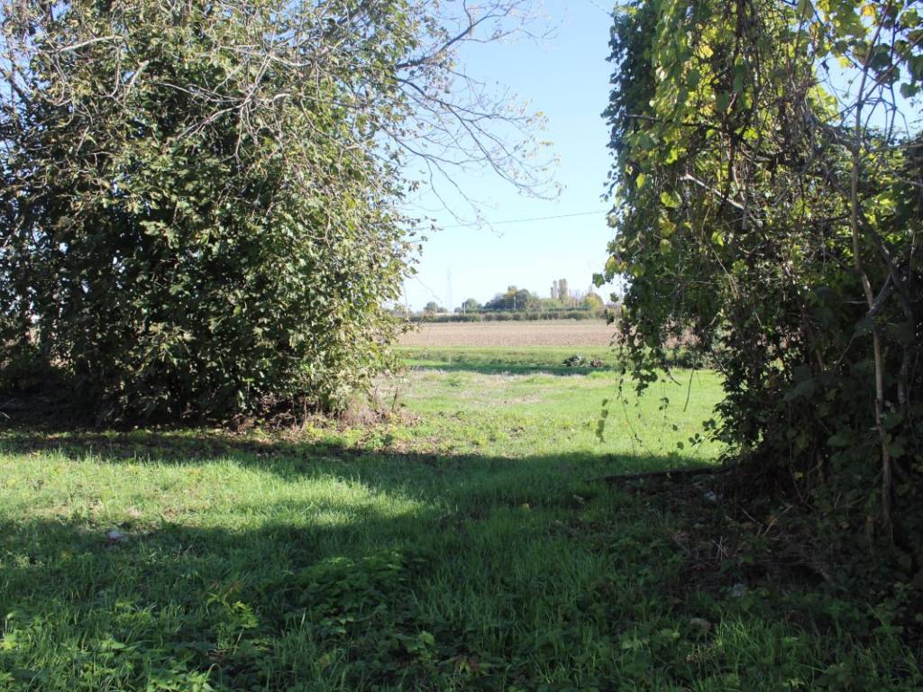 Rustico / casale a Stienta in Via Guratti - Foto 4