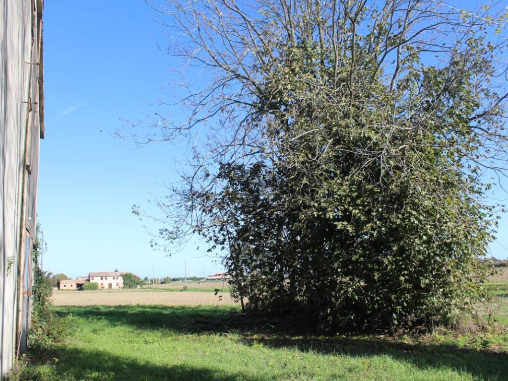 Rustico / casale a Stienta in Via Guratti - Foto 5