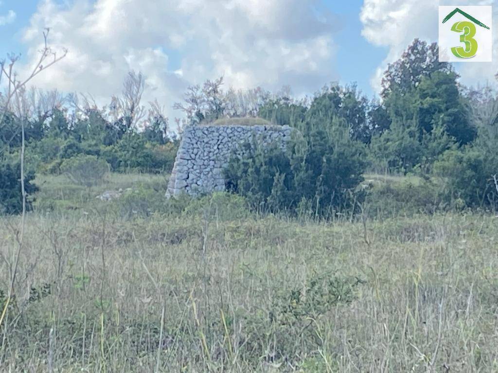 Terreno a Tricase in Strada Comunale del Mito - Foto 3