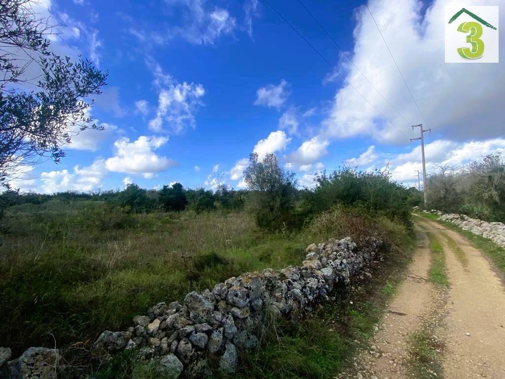 Terreno a Tricase in Strada Comunale del Mito - Foto 5