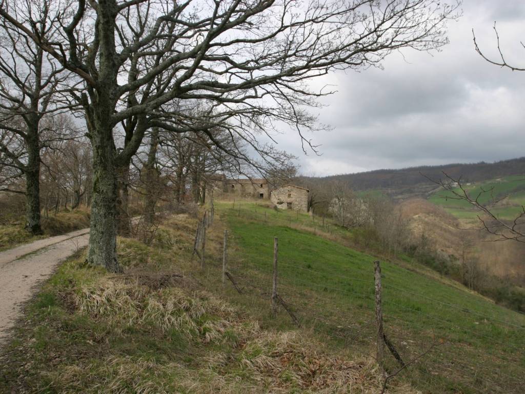 Rustico / casale a Apecchio in Vocabolo Montepiacione - Foto 4