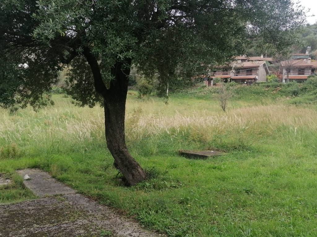 Terreno a Santa marina in Contrada Crocefisso - Foto 2