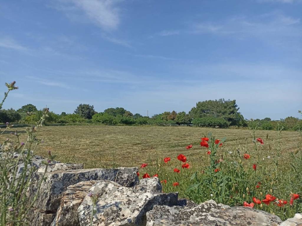 Rustico / casale a Martina franca in Contrada Monti del Duca, snc - Foto 2