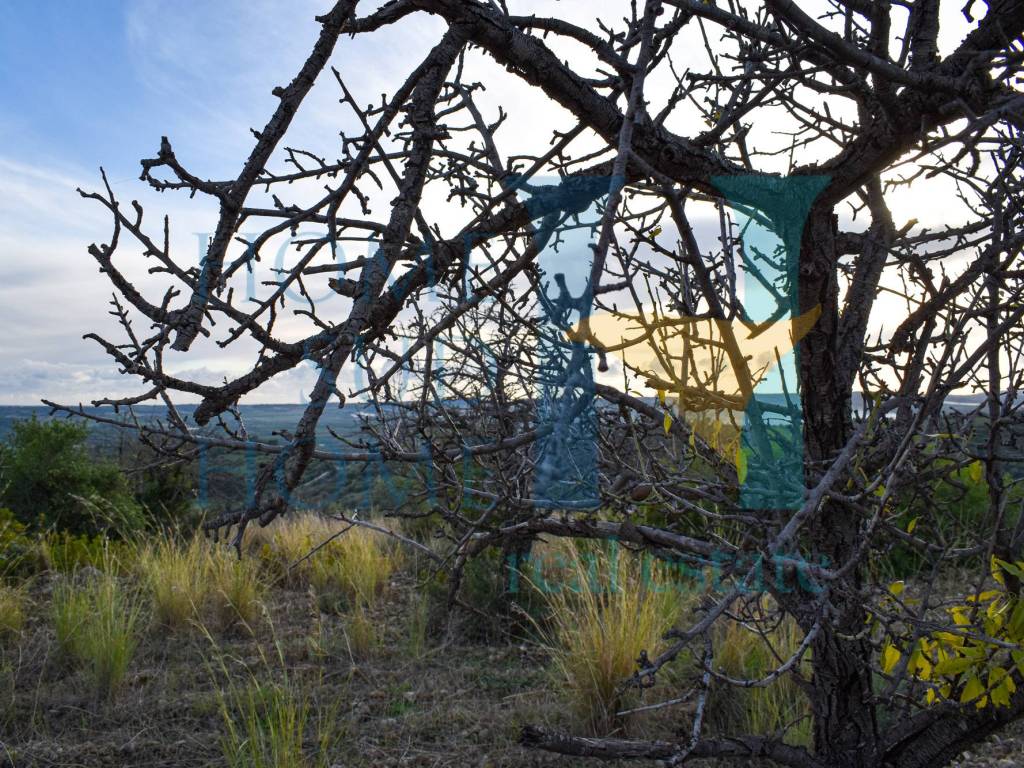 Terreno a Noto in Via Tommaso Fazello, 228 - Foto 2