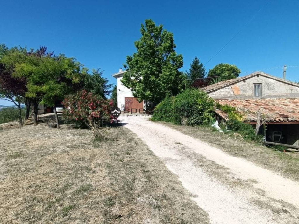 Rustico / casale a Pergola in frazione montevecchio , - Foto 2
