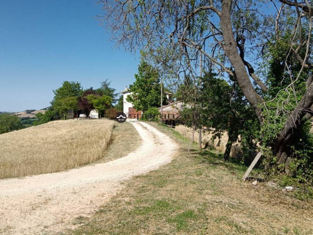 Rustico / casale a Pergola in frazione montevecchio , - Foto 3