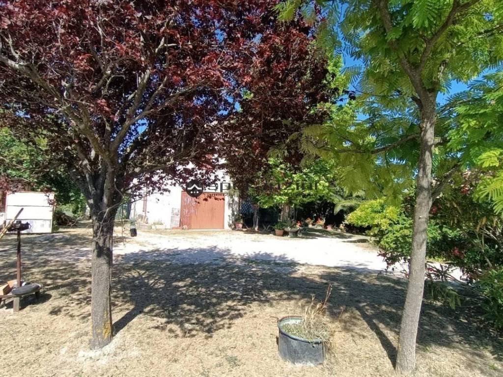 Rustico / casale a Pergola in frazione montevecchio , - Foto 4