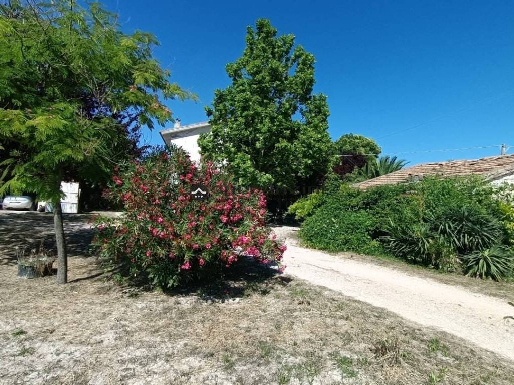 Rustico / casale a Pergola in frazione montevecchio , - Foto 5
