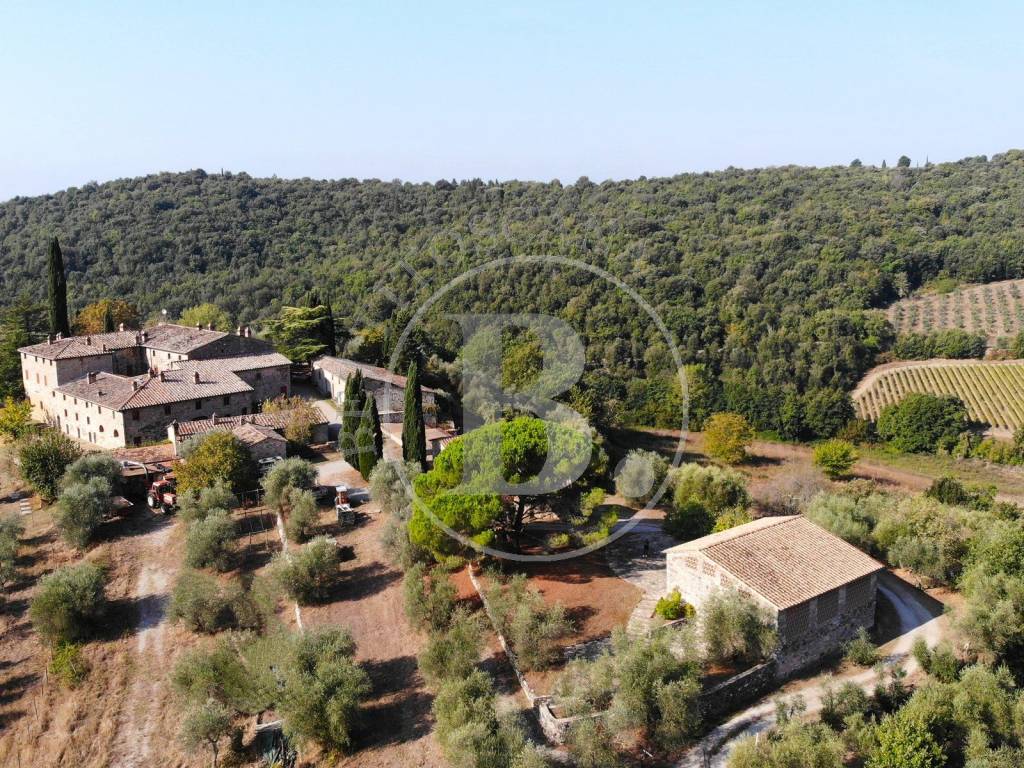 Rustico / casale a Castelnuovo berardenga in Via del Gallo Nero - Foto 3