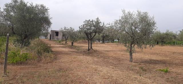Rustico / casale a Alatri in Via Quarti di Tecchiena - Foto 5