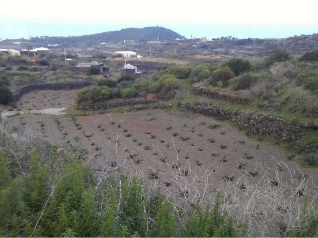 Rustico / casale a Pantelleria - Foto 1