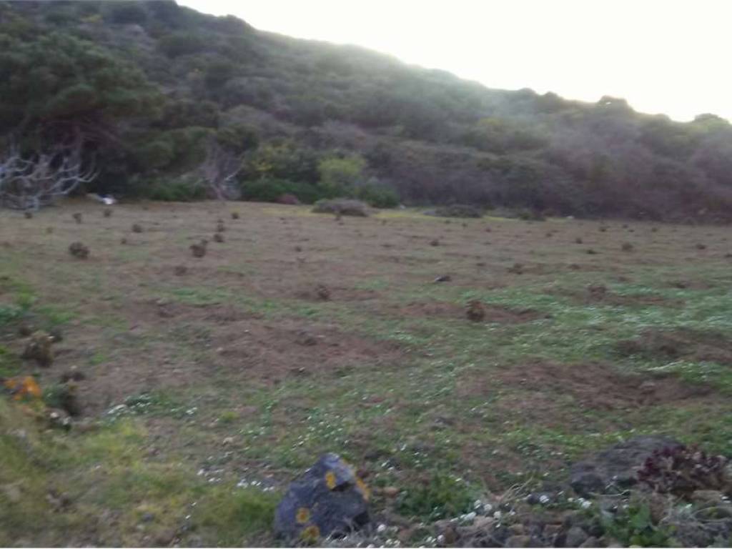 Rustico / casale a Pantelleria - Foto 2