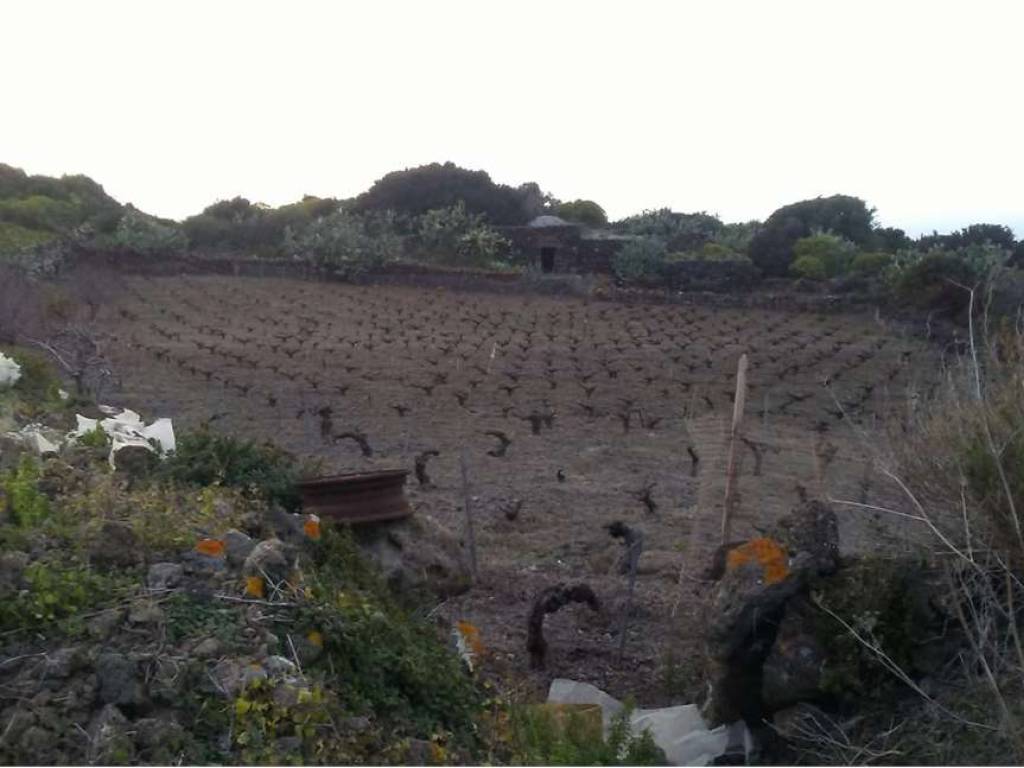 Rustico / casale a Pantelleria - Foto 5