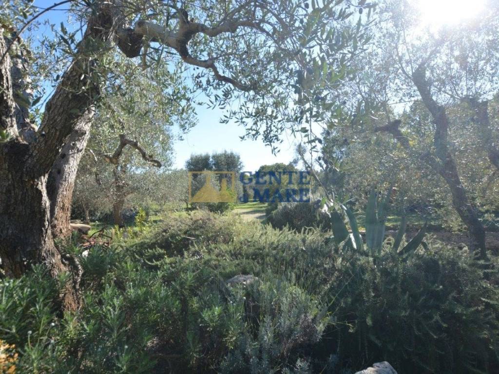 Rustico / casale a Ceglie messapica in Contrada Pisciacalze - Foto 5