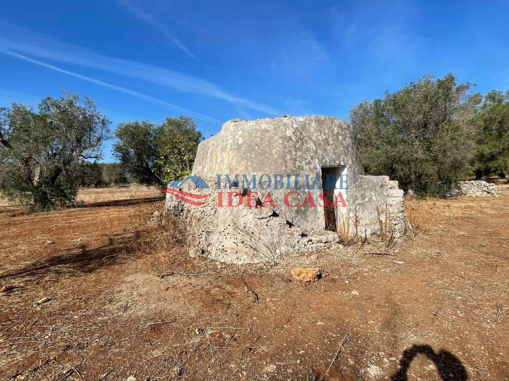 Rustico / casale a Francavilla fontana - Foto 2