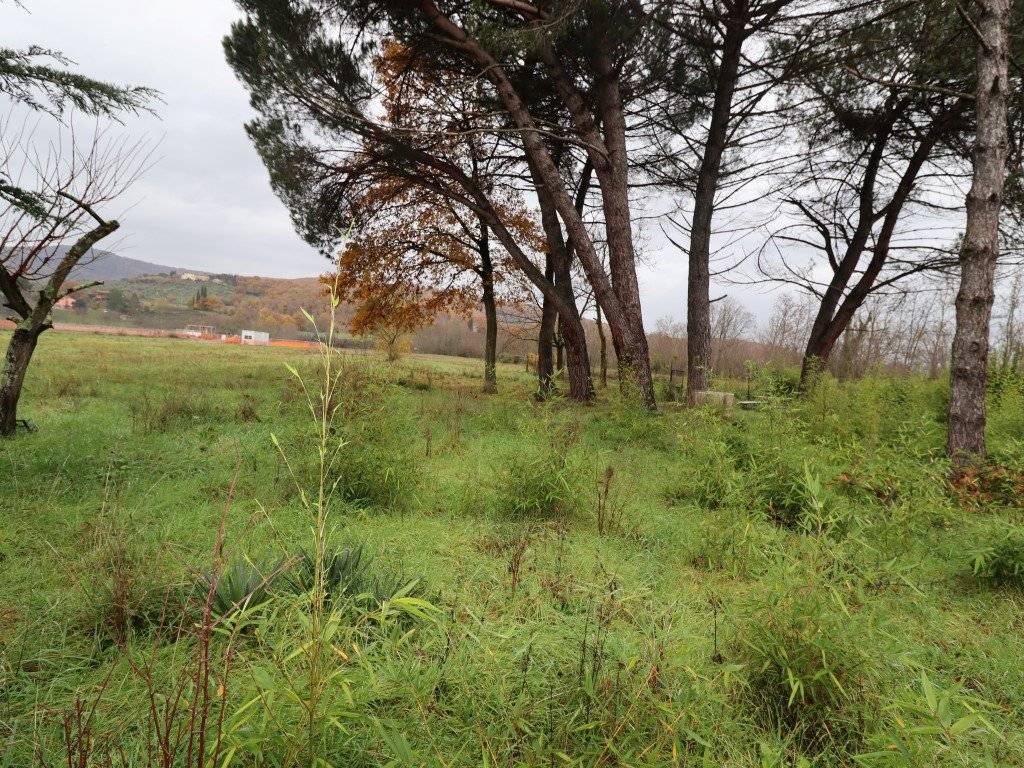 Villa a Bucine in ambra - Foto 4