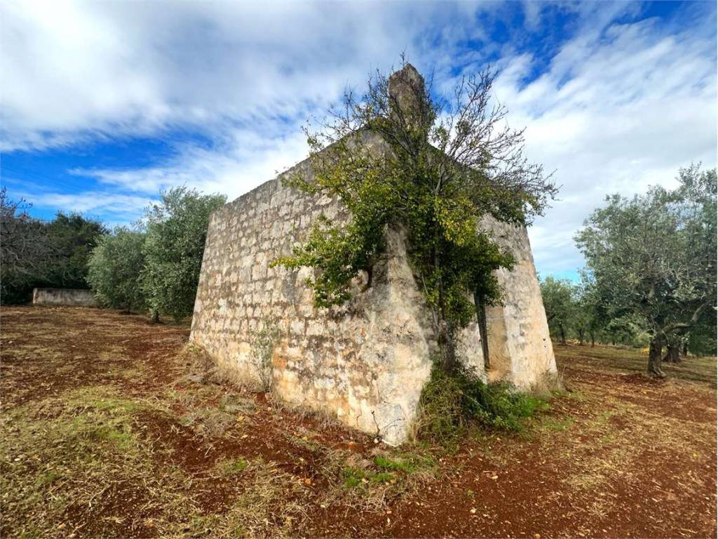 Rustico / casale a Ceglie messapica in contrada recupero - Foto 2