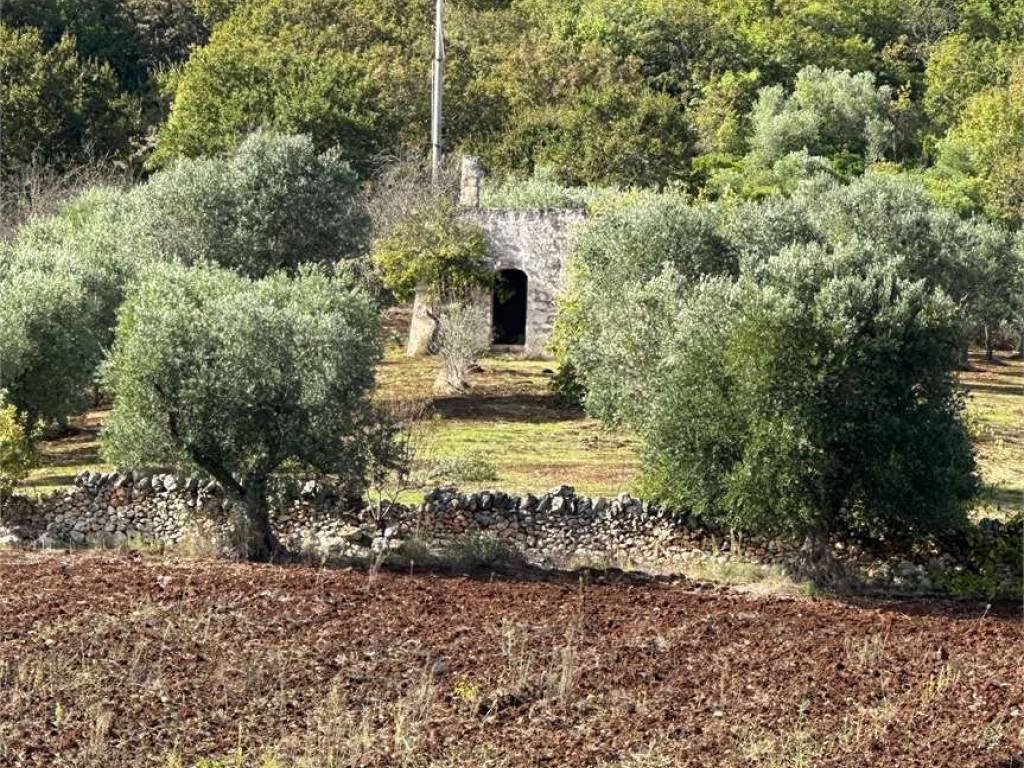 Rustico / casale a Ceglie messapica in contrada recupero - Foto 3