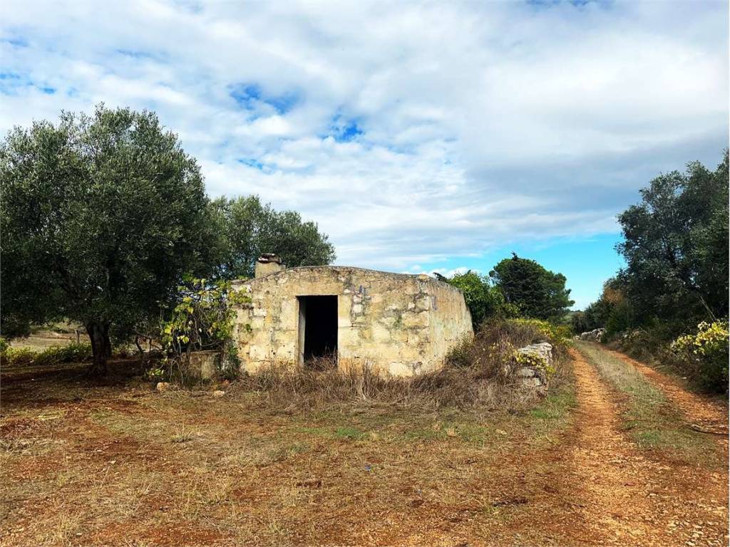 Rustico / casale a Ceglie messapica in contrada recupero - Foto 5