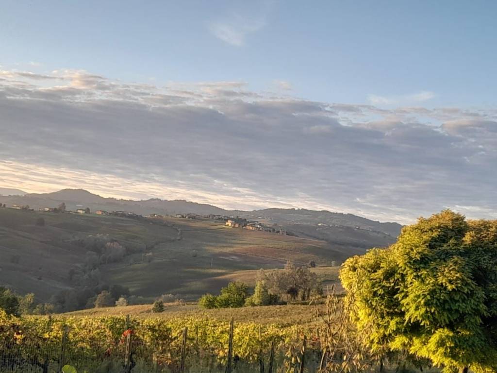 Rustico / casale a Montù beccaria - Foto 5