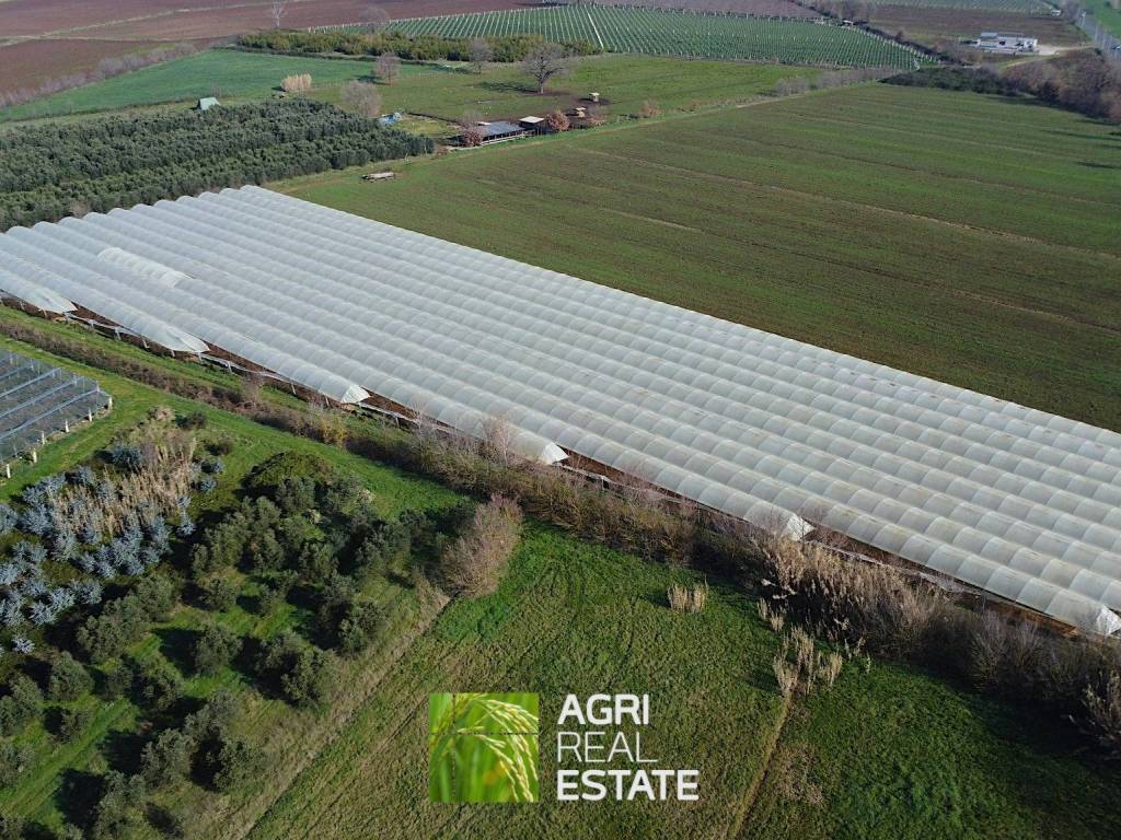 Terreno a Latina in Via Appia - Foto 4