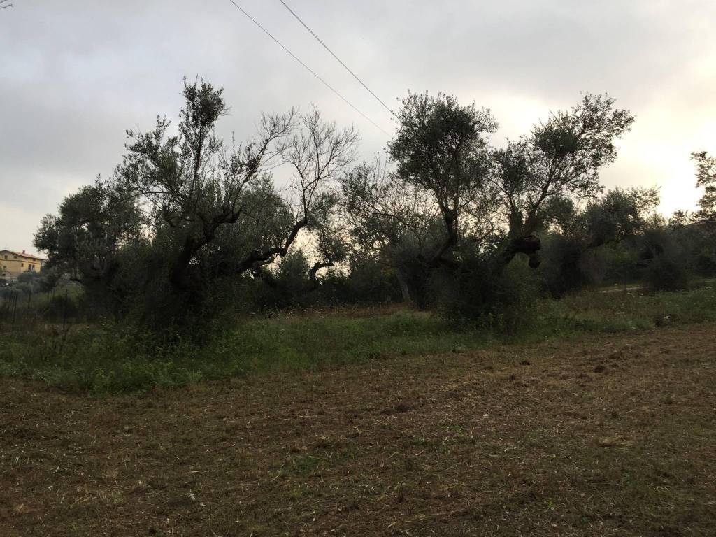 Terreno a Spoltore in Strada Pozzalli - Foto 2