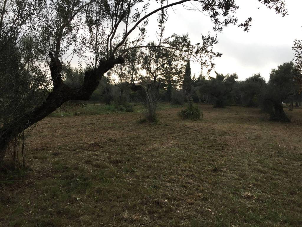 Terreno a Spoltore in Strada Pozzalli - Foto 3