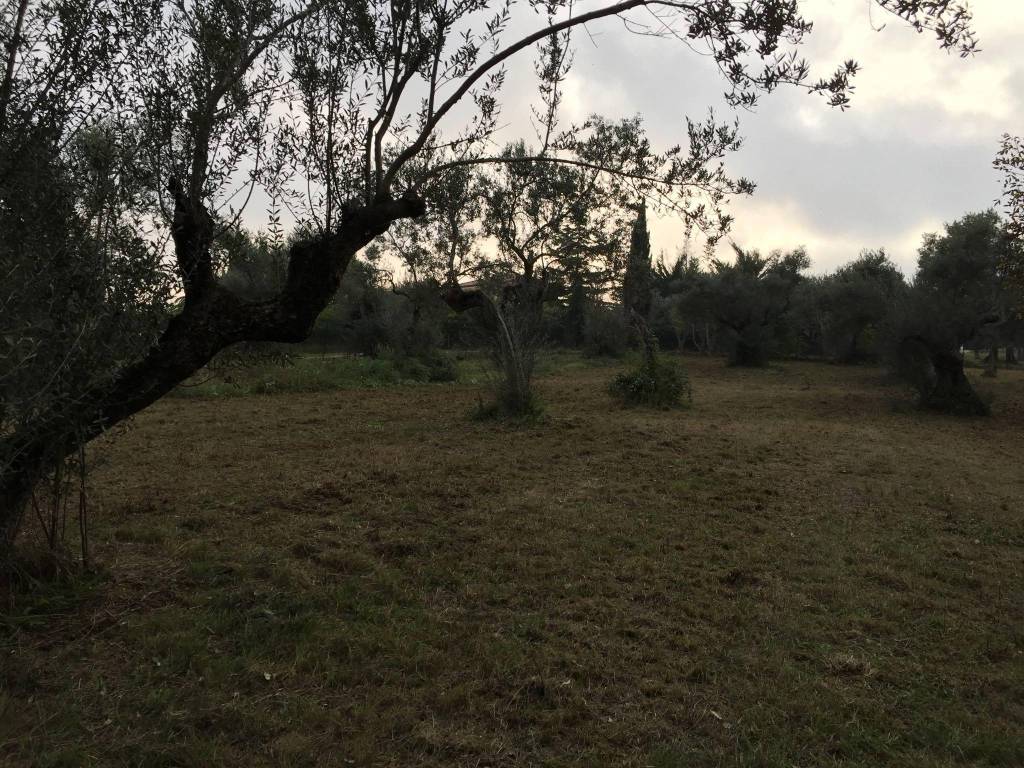 Terreno a Spoltore in Strada Pozzalli - Foto 4