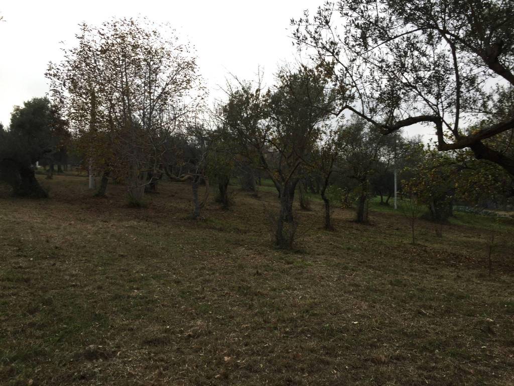 Terreno a Spoltore in Strada Pozzalli - Foto 5