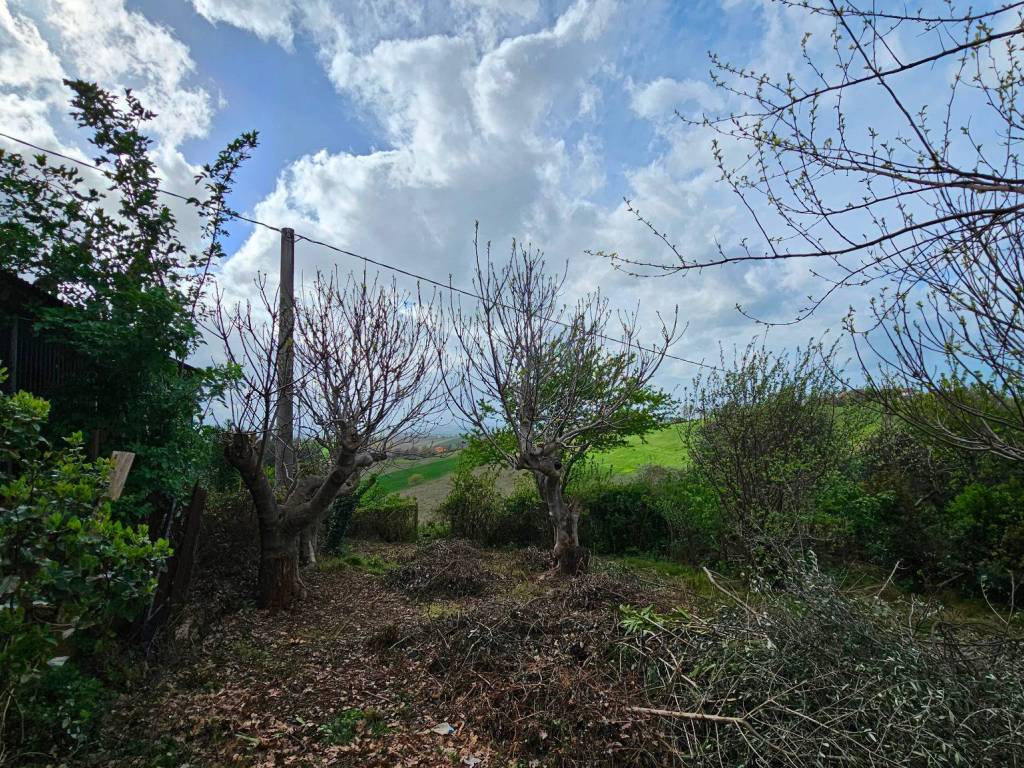 Villa a Belvedere ostrense - Foto 2