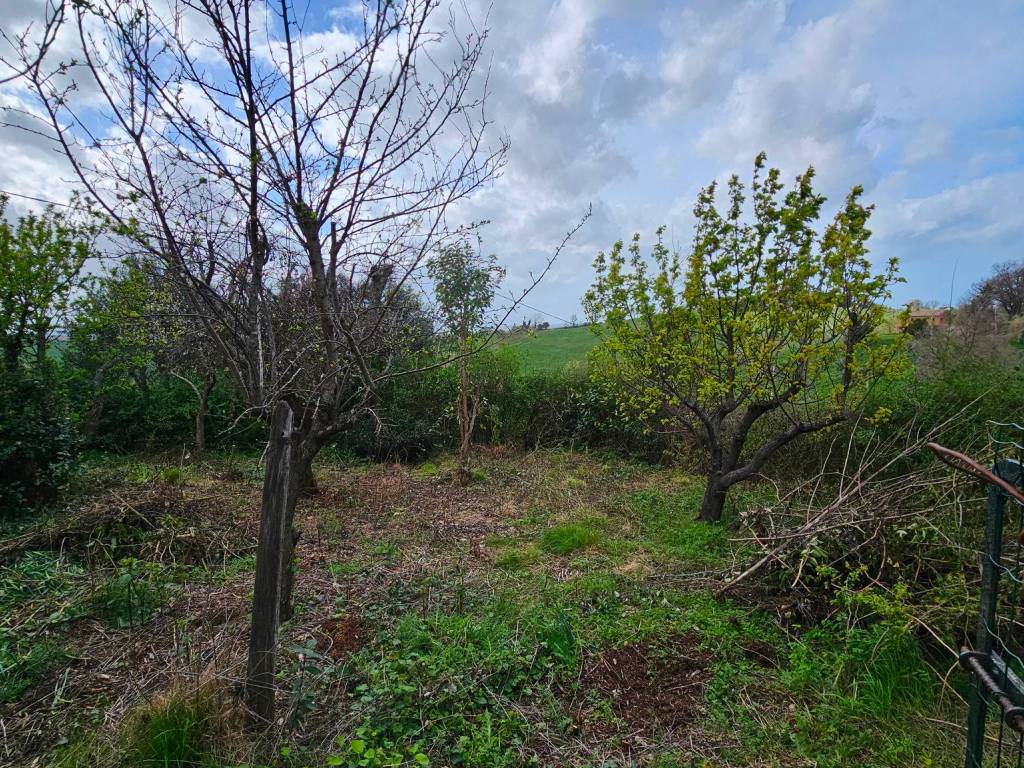 Villa a Belvedere ostrense - Foto 5