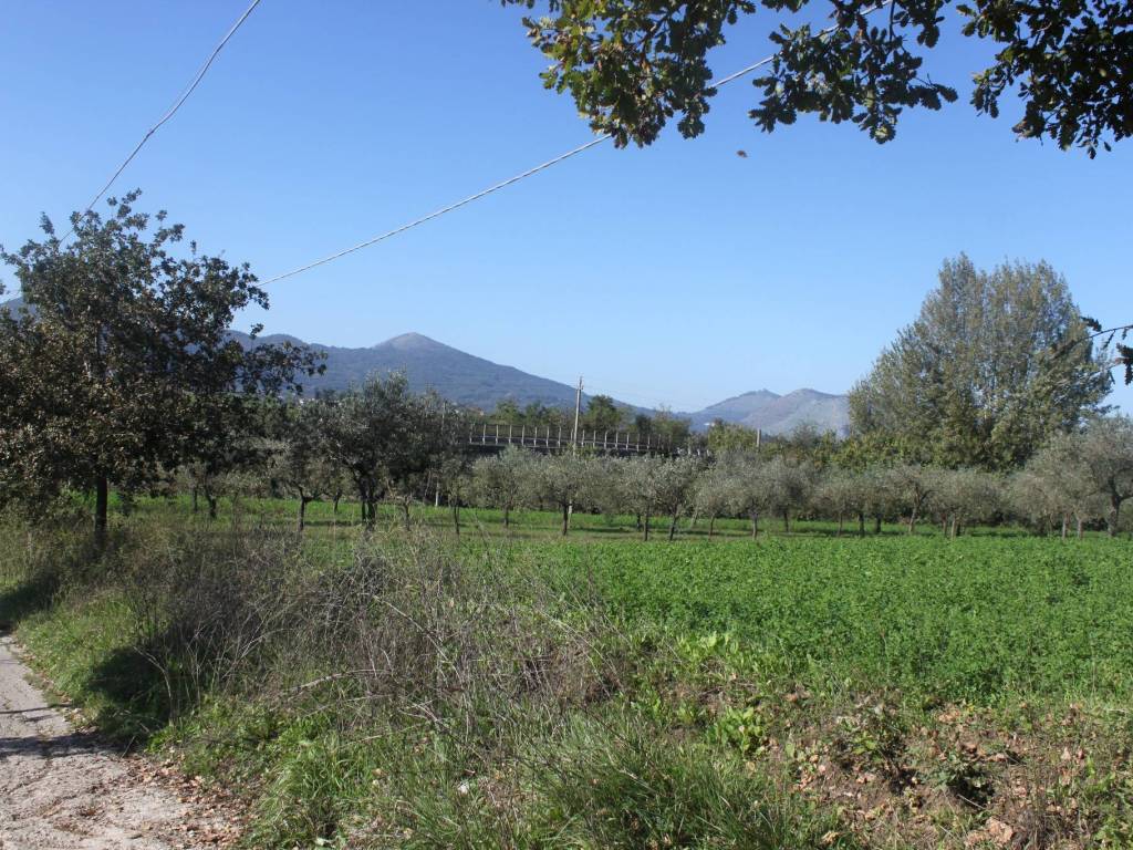 Terreno a Sant'agata de' goti - Foto 4