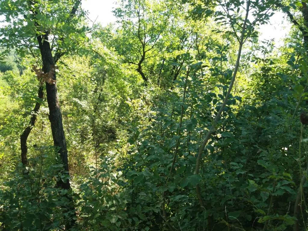 Terreno a Ceprano in Via Molare - Foto 3