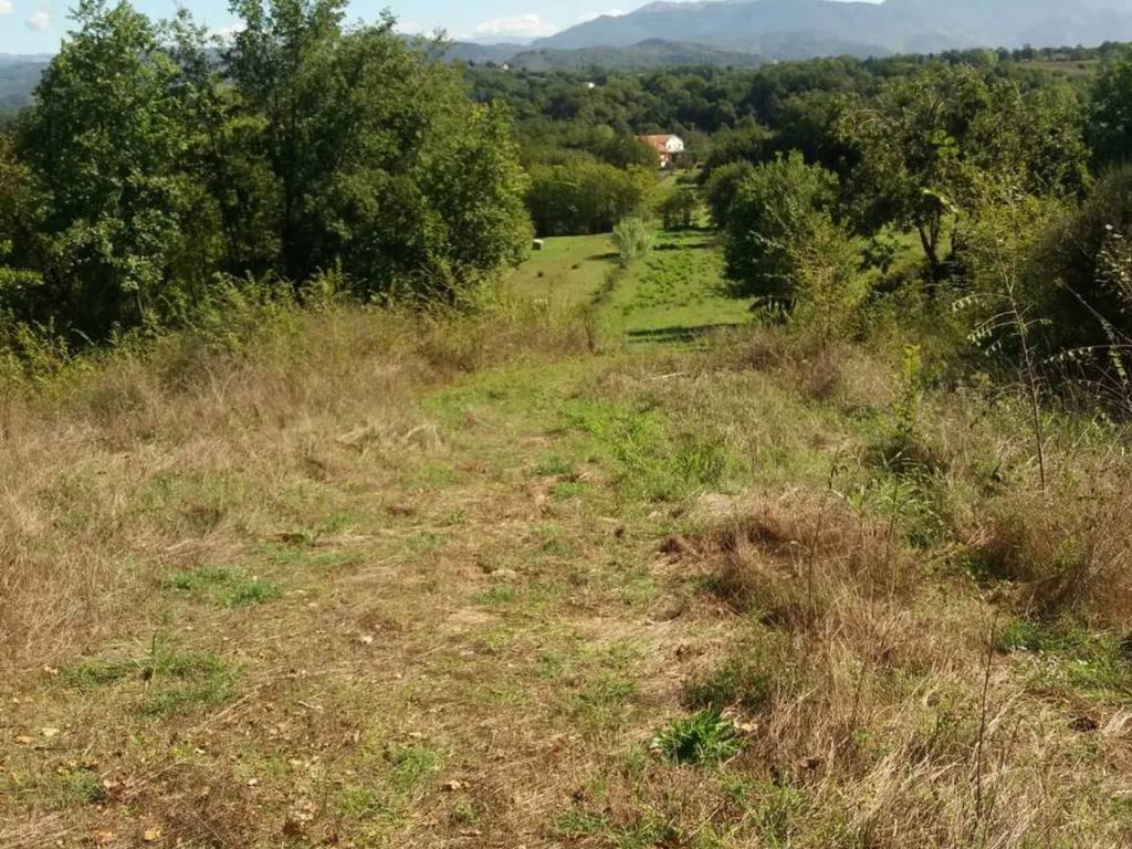 Terreno a Ceprano in Via Molare - Foto 4