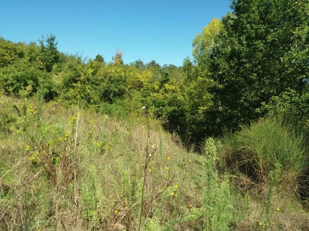 Terreno a Ceprano in Via Molare - Foto 5