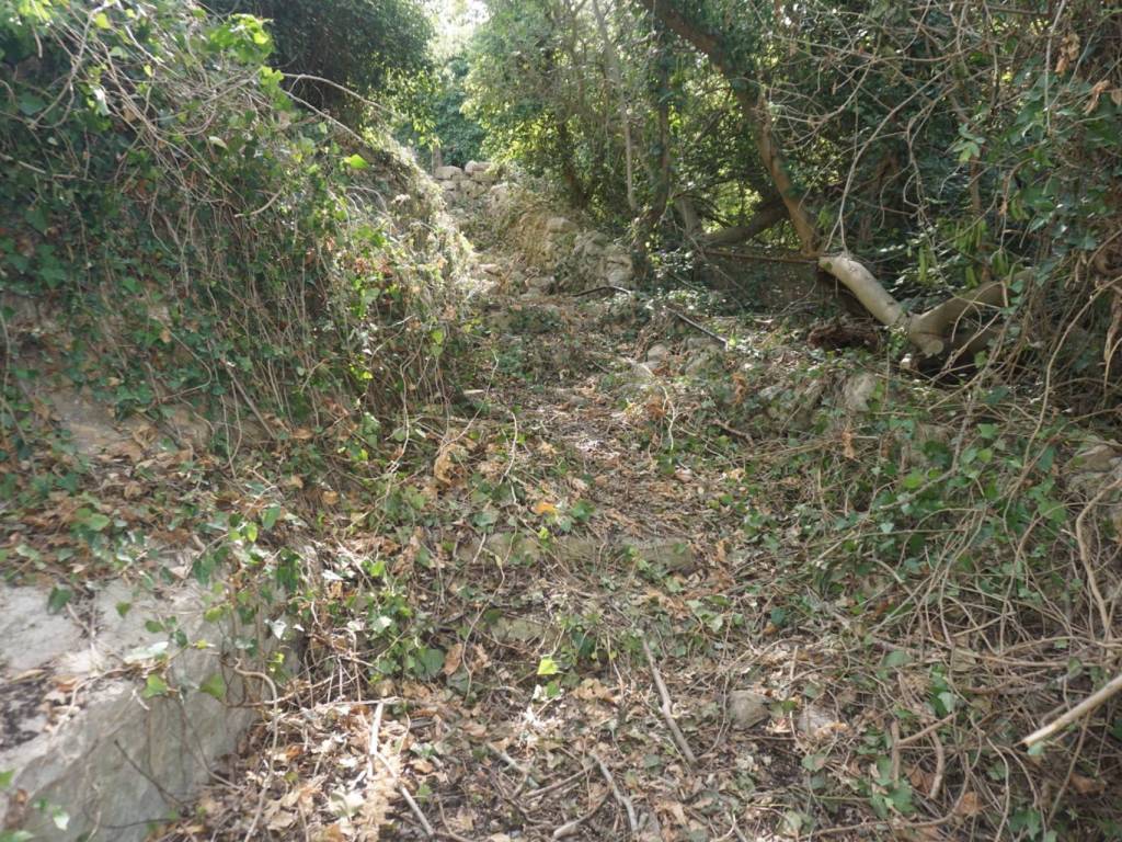Rustico / casale a Ragusa in CONTRADA RENNA - Foto 5