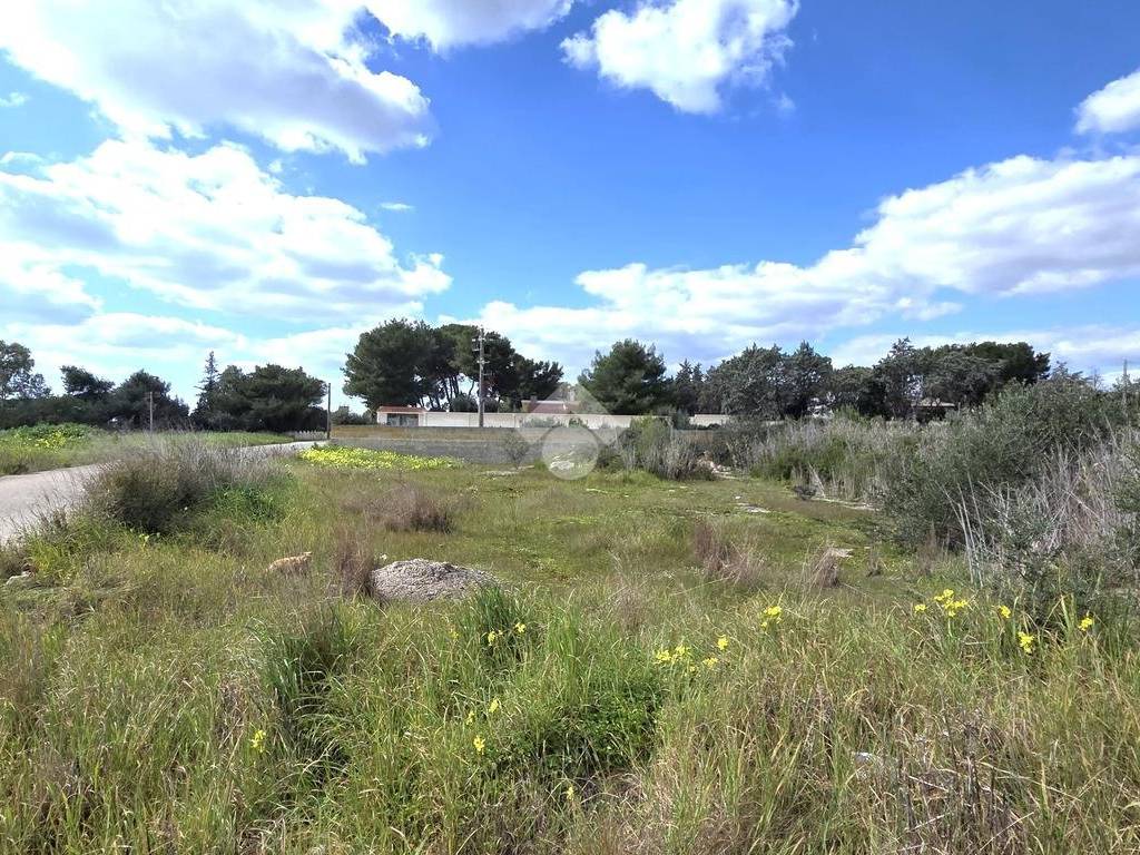 Terreno a Manduria in Via Tarantina Vecchia, 1 - Foto 3