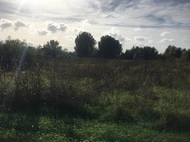 Terreno a Tuoro sul trasimeno - Foto 2
