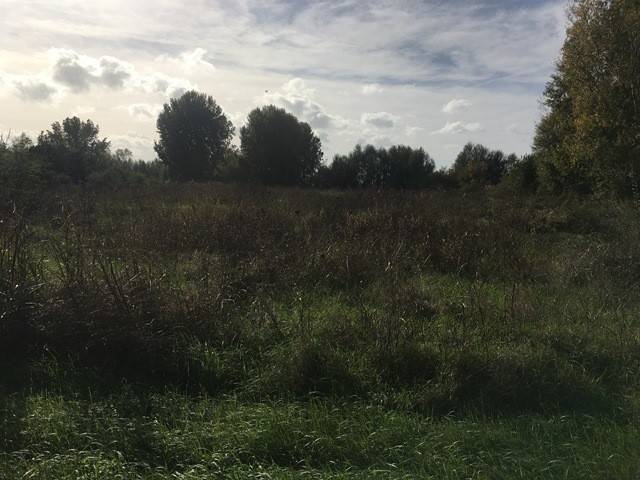 Terreno a Tuoro sul trasimeno - Foto 3