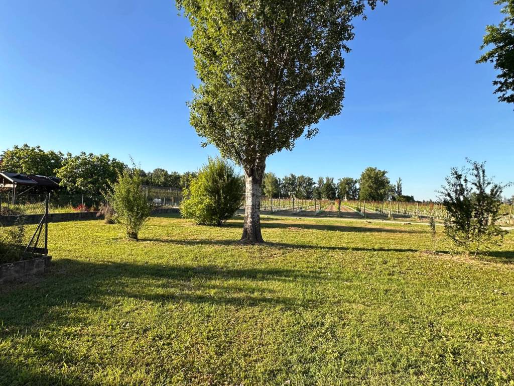 Villa a San possidonio in Via Secchia, 55 - Foto 2